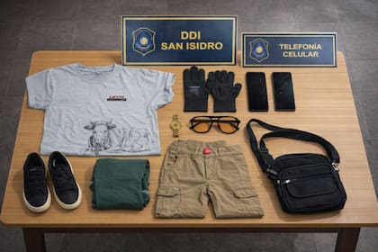 detuvieron a ladrones que se hacían pasar por pileteros para robar casas en San Isidro