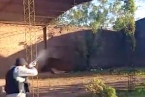 Detuvieron a un contrabandista que corrió por los techos para no ser detenido en la localidad de Puerto Rico, Misiones