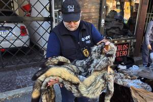Detuvieron a un hombre que vendía indumentaria confeccionada con pieles de animales en peligro de extinción