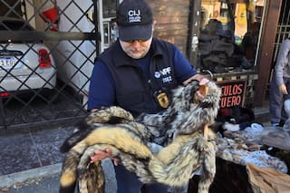 Detuvieron a un hombre que vendía prendas de piel de animales en extinción en redes sociales