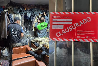 Detuvieron a un hombre que vendía indumentaria confeccionada con pieles de animales en peligro de extinción