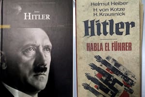 Le descubren un arsenal y simbología y literatura nazi en su casa de La Plata
