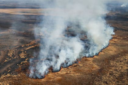 Devastadores incendios en las islas del delta del Paraná, en agosto de 2021