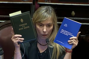 Di Tullio cruzó a Bullrich por la actitud de un senador libertario