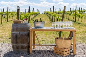 Día del Malbec: tres lugares para disfrutar de esta cepa sin ir muy lejos de CABA