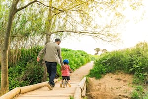 15 papás comparten consejos, miedos y aprendizajes