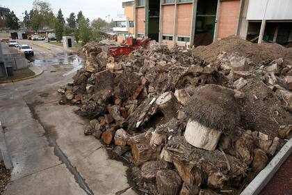 Toneladas de basura de todo tipo llegan a planta diariamente