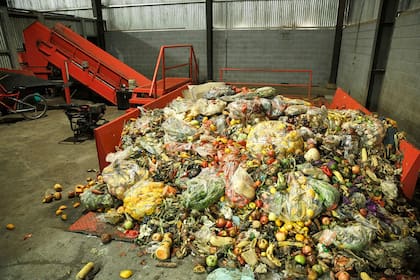 La planta de residuos orgánicos tiene una capacidad para procesar hasta 30 toneladas por día