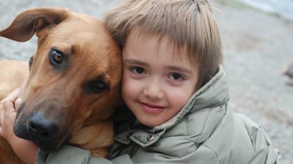 Día Internacional del Perro Callejero: 5 refugios para adoptar