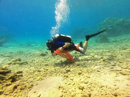 Buzos israelíes participan en una limpieza submarina en el Mar Rojo frente a la ciudad turística de Eilat, en el sur de Israel