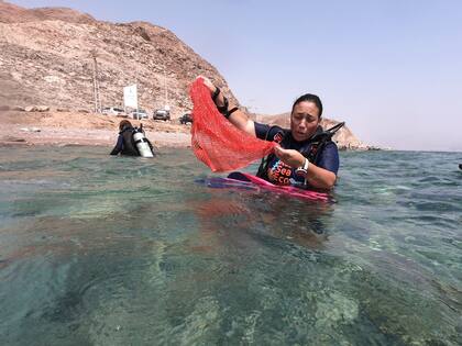 Una buzo participa de la limpieza submarina en el Mar Rojo