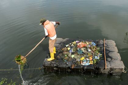 Un trabajador recoge basura de un lago en las afueras de Colombo, Siri Lanka