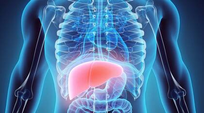 Día Mundial del Hígado