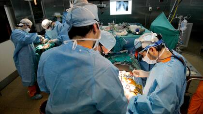 Día Mundial del Riñón: ¿Por qué 7 de cada 10 pacientes necesitan un trasplante?