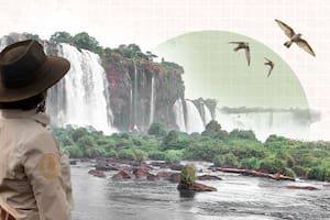 Día Nacional de los Parques Nacionales