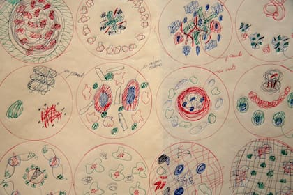 Diagramas de platos realizados por Ferran Adrià para el restaurante El Bulli, antes de que cerrar, en 2011
