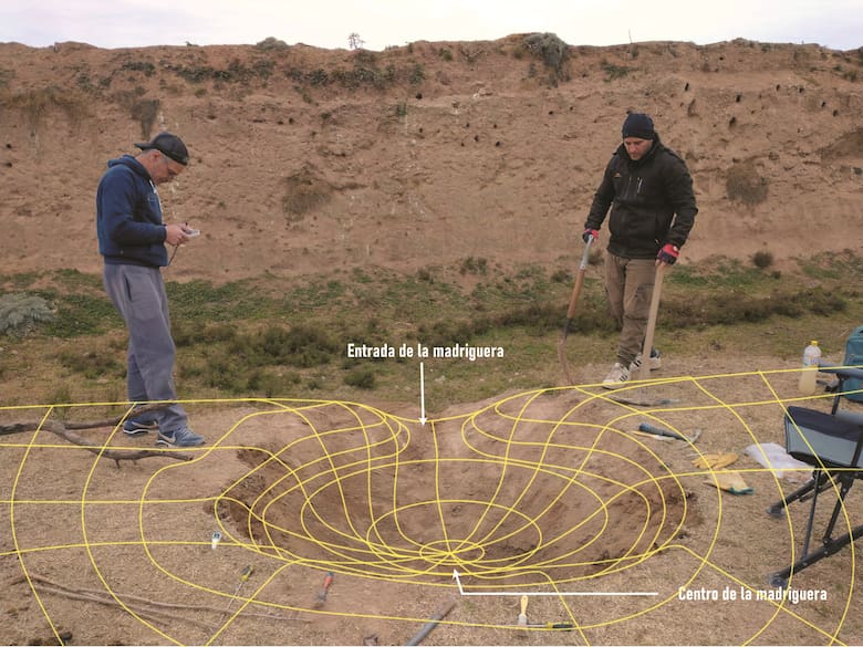 Descubren yacimiento prehistórico en San Pedro con restos de guanaco y madriguera