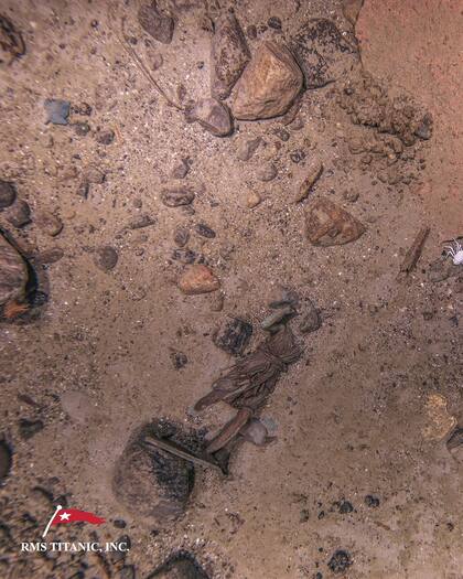 Diana de Versalles, uno de los hallazgos de esta expedición