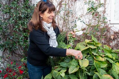 Diana, en su casa de Salta.
