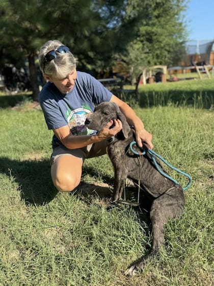 Diann Thomason, de Three Little Pitties Rescue, se ofreció a transitar a la cachorra.