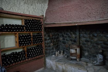 Diápolo produce 12.000 litros de vino anuales