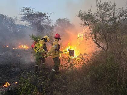 Días atrás, fue Martín Rapetti, coordinador de la Comisión de Carnes de Confederaciones Rurales Argentinas (CRA) y productor curuzucuateño que había denunciado la intencionalidad de los incendos que “siempre eran a la siesta y que comienzan en los lugares donde hay caminos vecinales o rutas”