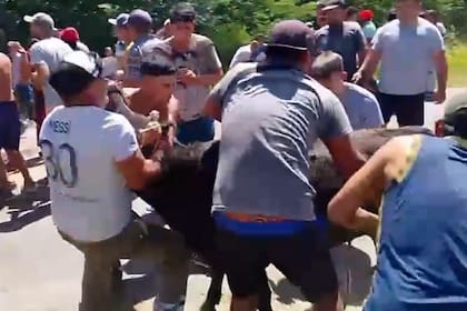 Días atrás sucedió un robo masivo de animales en pie que se transportaban en un camión