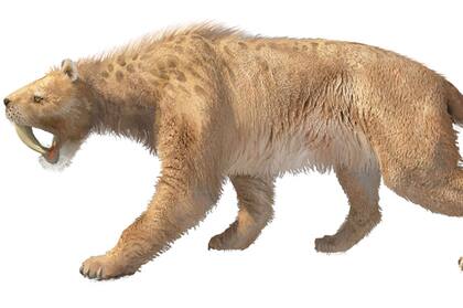 Dibujo de un Smilodon