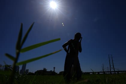 Diciembre fue un mes caluroso en Texas y enero se proyecta también sobre la media