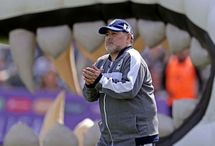 Diego Maradona, con su gorra característica y el Lobo detrás suyo. Más allá de que Gimnasia estaba en zona de descenso cuando el torneo se frenó por la pandemia, el equipo había mostrado señales de recuperación futbolística. El Diez contagió a los hinchas con su presencia y hubo un boom de nuevos so