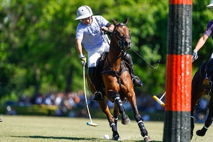 Diego Cavanagh, el líder de un equipo que no para de sorprender