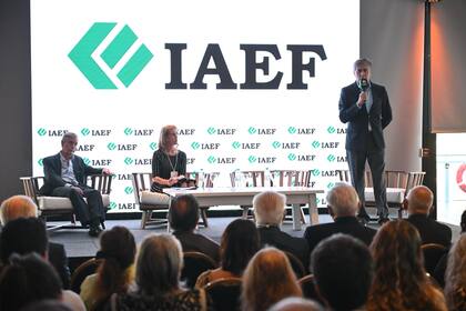Diego Cazorla, presidente del IAEF y director ejecutivo at Infotema