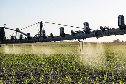 Diego Napolitano destacó la "convergencia normativa"