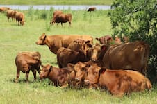 Ganador del año: el negocio que se convirtió en la estrella de 2025