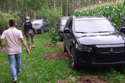 Diez autos utilizados en el robo fueron incautados en un maizal de una propiedad privada en Nova Veneza, al noroeste de Criciúma