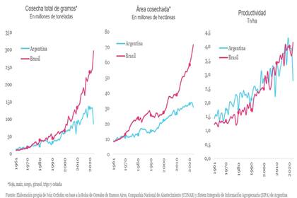 Diferencias entre el agro brasileño y el argentino