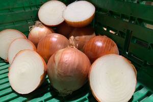 Diferentes factores de producción y clima impactaron sobre el producto con una suba de precios