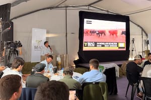 El Mercado Agroganadero abrió, con un remate y precios que volaron, su propio canal de exportación