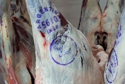 Dijeron que se busca ampliar las oportunidades de comercialización para la producción ovina entrerriana, "a partir del trabajo articulado entre productores, industria frigorífica y operadores comerciales, con el apoyo del Estado"