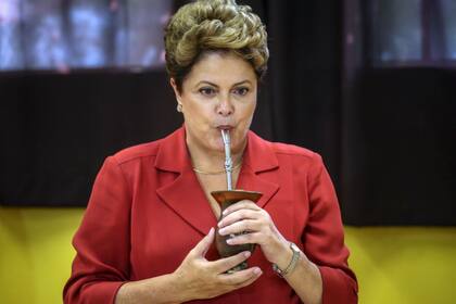 Dilma disfruta un mate mientras charla con los periodistas sobre lo que fue la campaña electoral