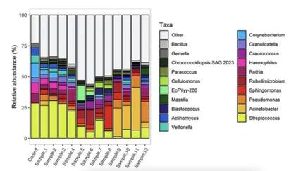 Dinámica de la variación de las comunidades microbianas a lo largo de doce semanas. Las barras representan la modificación del perfil microbiano a lo largo del tiempo