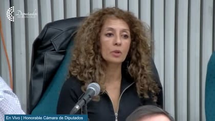 Diputada Adriana Nieto, Por Santa Cruz, autora del proyecto de la ampliación de la Corte.