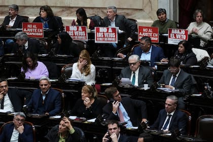 Diputados se reúnen para debatir el veto del presidente Javier Milei a un proyecto de ley para ampliar las protecciones para las personas con discapacidad en Buenos Aires, Argentina, el miércoles 20 de agosto de 2025. (Foto AP/Natacha Pisarenko)