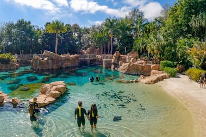 Discovery Cove