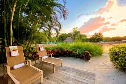 Discovery Cove ofrece diferentes tipos de campañas, que varían en precios y servicios