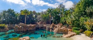 Es uno de los destinos más elegidos por los argentinos y tiene una opción all Inclusive sin habitaciones