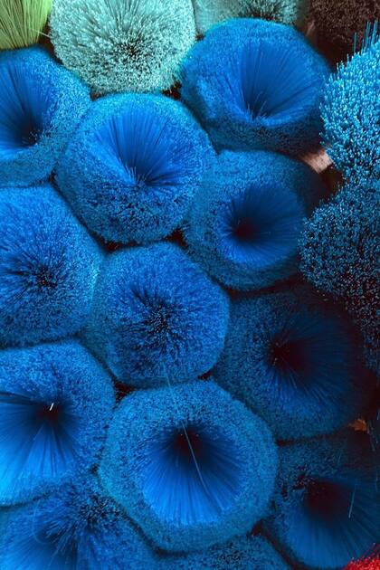 Obra de Gaspar Libedinsky para las vidrieras de Tendencia Arenales