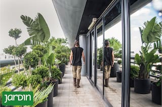 Cómo pensar jardines que acompañen la intensidad de las grandes urbes