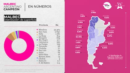 Distribución de la superficie plantada con Malbec en la Argentina (Fuente: Wines of Argentina)