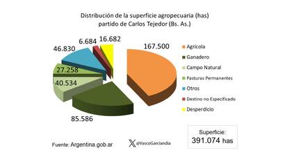 Distribución de uso de la superficie distrito Carlos Tejedor